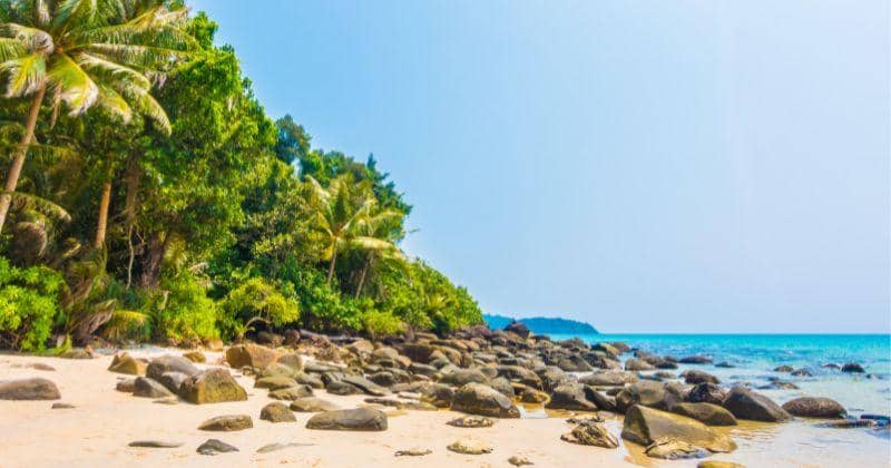 Jelajahi Cilacap dengan Keluarga: Wisata yang Menghangatkan Hati